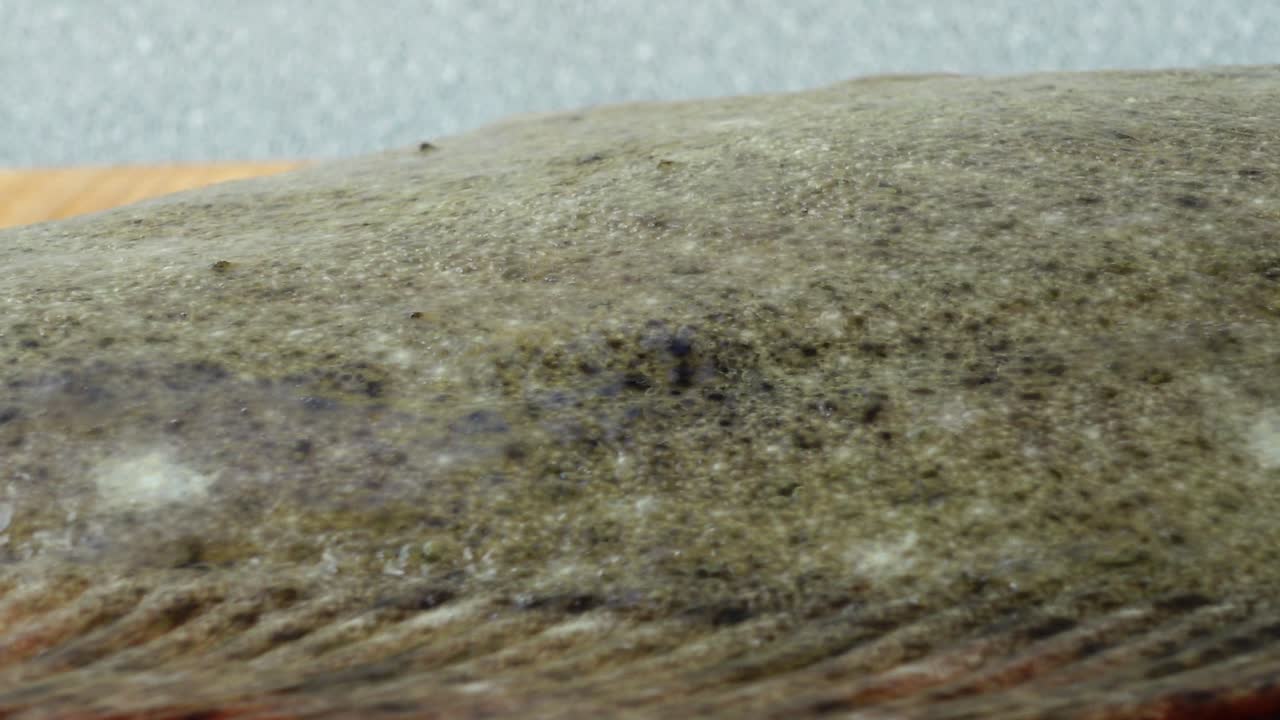 Fish of flatfish on a cutting board. Shooting in the movement