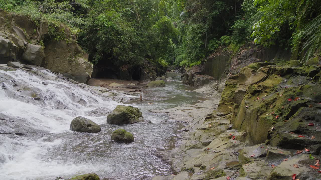 un tranquilo arroyo que fluye desde la cascada de goa rang rang en bali, indonesia