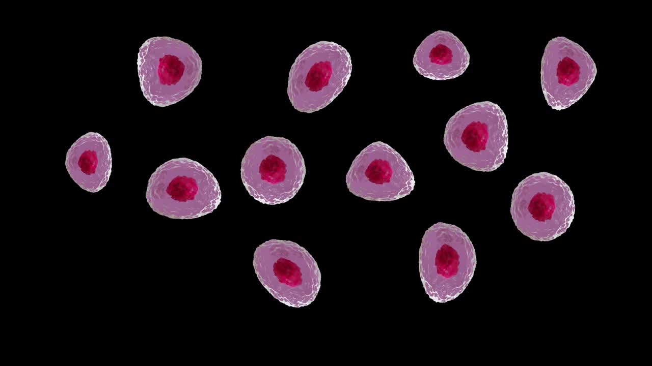 Animazione di cellule microscopiche rosse e rosa su sfondo nero