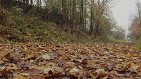 Car-driving-fast-on-country-road-covered-with-autumn-leaves,-real-time-low-angle-view