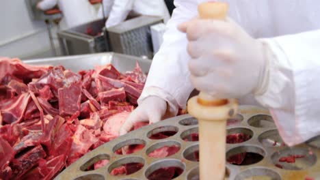 butcher putting meat into mincer machine