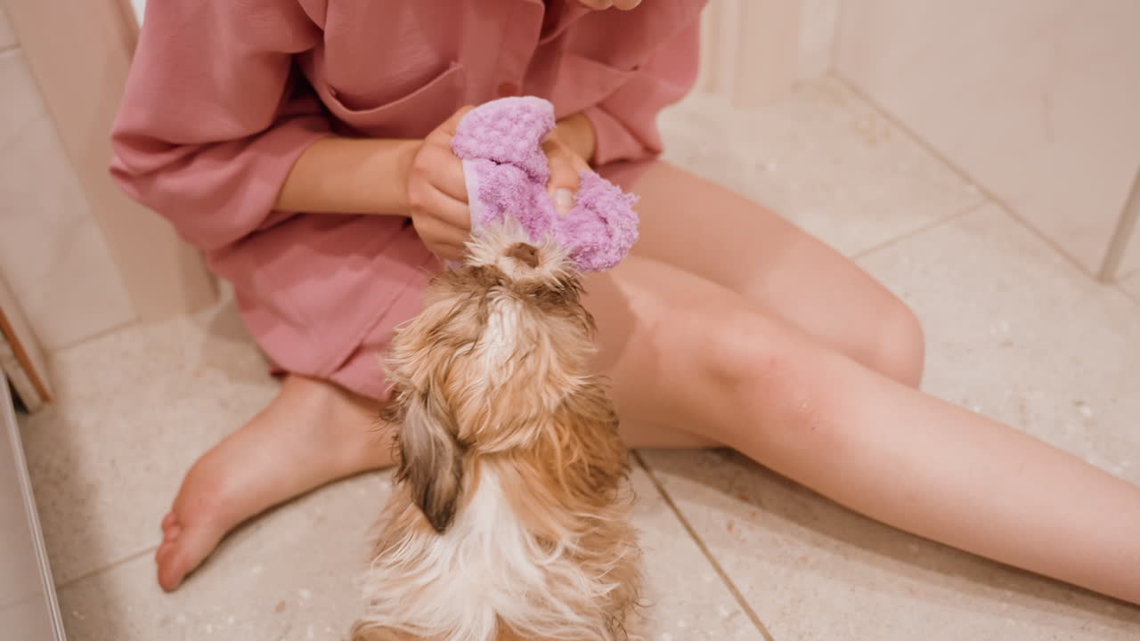 Woman Bathes Pup, Gentle Cleaning Of Playful Puppy After Bath, Woman Uses Sponge To Wash Cheerful Puppy On Tiled Floor, Young Woman Gently Scrubs Her Lively Puppy With Sponge On Tiled Floor