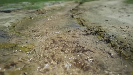 crystal clear, clean mineral spring water in the churchyard of st. petka, at the base of kozhuh mountain, situated in the town of rupite, petrich in bulgaria.
