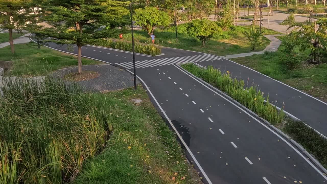 A cyclist navigates a tranquil park pathway surrounded by lush greenery and clear skies.