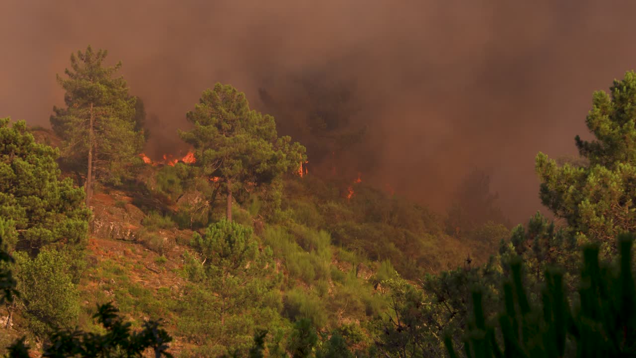 A thick smoke development as a wild fire comes over the ridge