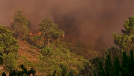 a thick smoke development as a wild fire comes over the ridge