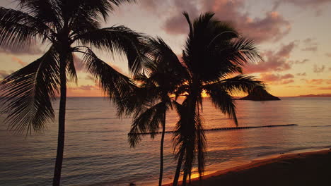 Beautiful-up-close-aerial-video-flying-next-to-Hawaiian-Palm-Trees-at-Sunrise