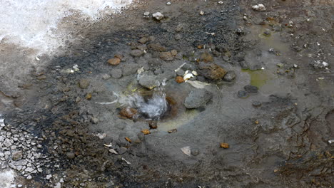 boiling water splashing out of small crater in volcanic landscape,close up