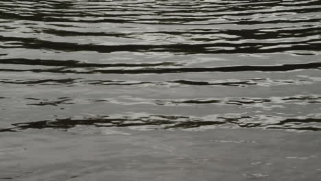 ripples on water with light reflection in slow motion