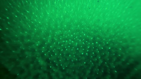 green ink and paint liquid reaction abstract texture background