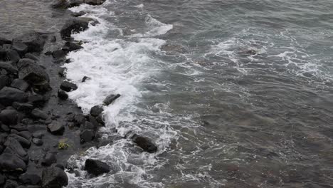 costa rocosa con olas