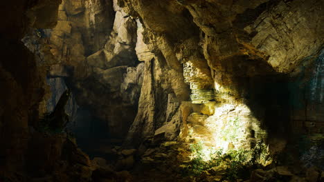 exploring the mysterious depths of a sunlit cave surrounded by nature