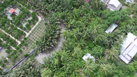 lush green farmland with river bends, tropical trees, and rural homes in vietnam