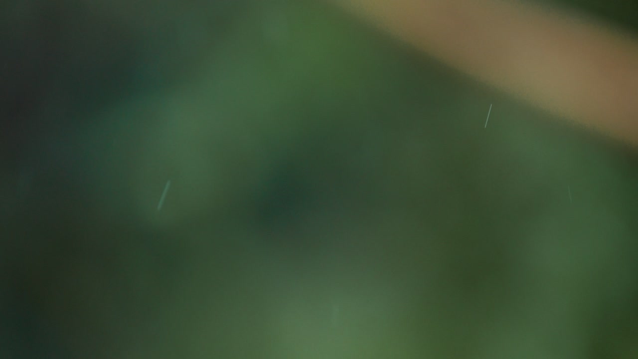 Slow motion shot of rain falling in a green garden. Shot on long lens deep depth of field.