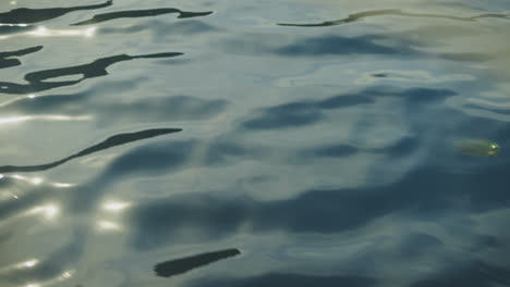 water surface ripples