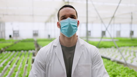Hydroponic-farm,-plants-or-scientist-in-mask