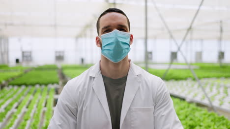 hydroponic farm, plants or scientist in mask