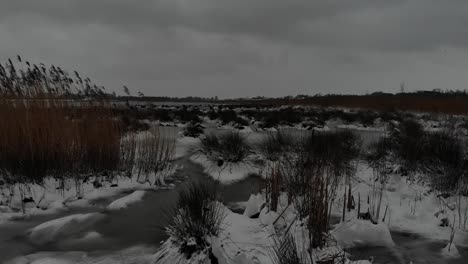 Gefrorenes-Gras-Und-Schilf-Während-Der-Wintersaison-An-Einem-Bewölkten-Tag