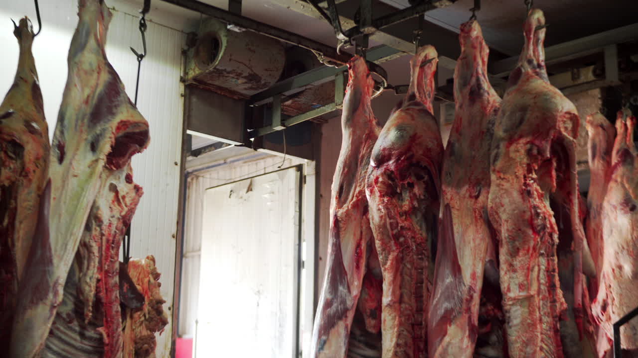 carcassa di carne cruda appesa a un gancio al macello