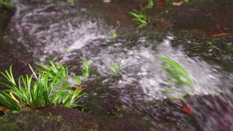 The-clear-stream-in-the-valley-flows-down-from-mossy-stones