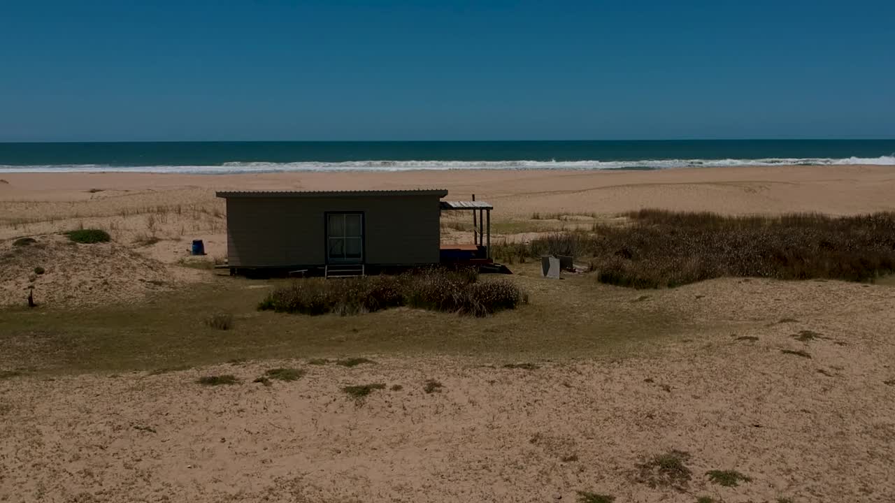 Cow feeding on the coastal beach of Atlantica Rocha Uruguay