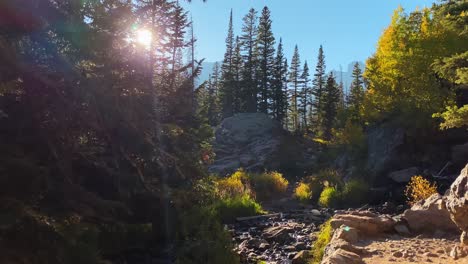 the sun peeks between the trees near a creek in rocky mountain national park