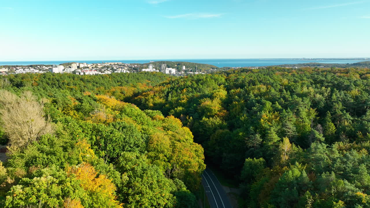 Aerial view of a dense autumn forest with a coastal cityscape and sea visible in the background