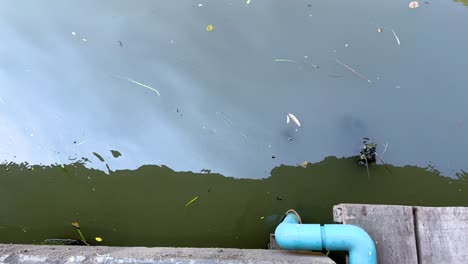 una vista serena de un canal con un suave movimiento de agua y escombros flotantes, capturado desde arriba en la iluminación natural