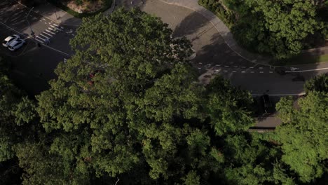 Langsame-Luftneigung-Nach-Oben,-Um-Das-Cloisters-Museum-Auf-Einem-Hügel-In-Ober-Manhattan,-Nyc-Am-Ufer-Des-Hudson-River-In-Klarem-Sonnenaufgangslicht-Zu-Enthüllen