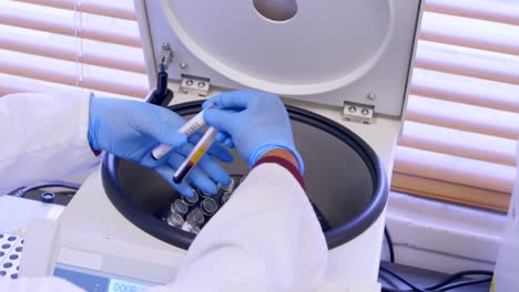 doctor taking out blood samples from centrifuge 4k