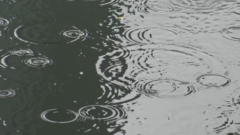 4k falling rain water on the lake