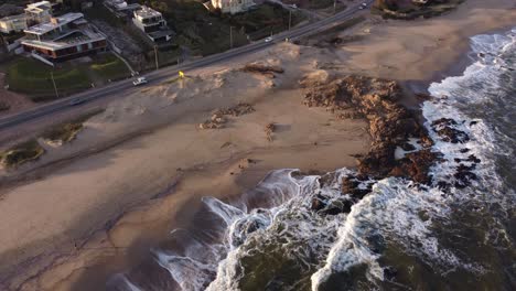 aerial view of people with dogs walking on sandy beach in front of atlantic ocean at sunset in uruguay - punta del este,south america