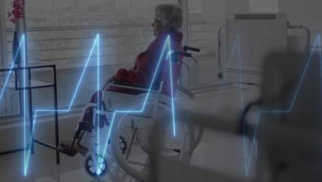 animation of cardiograph over biracial senior female patient in wheelchair