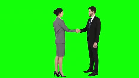 Business-people-handshaking