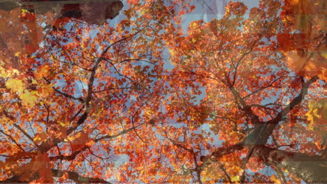 animation of trees and leaves over people dancing and flag of usa