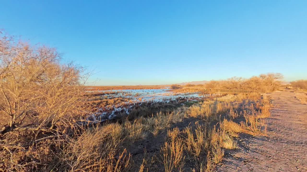 Dirt path next to frozen pond in Arizona during winter.