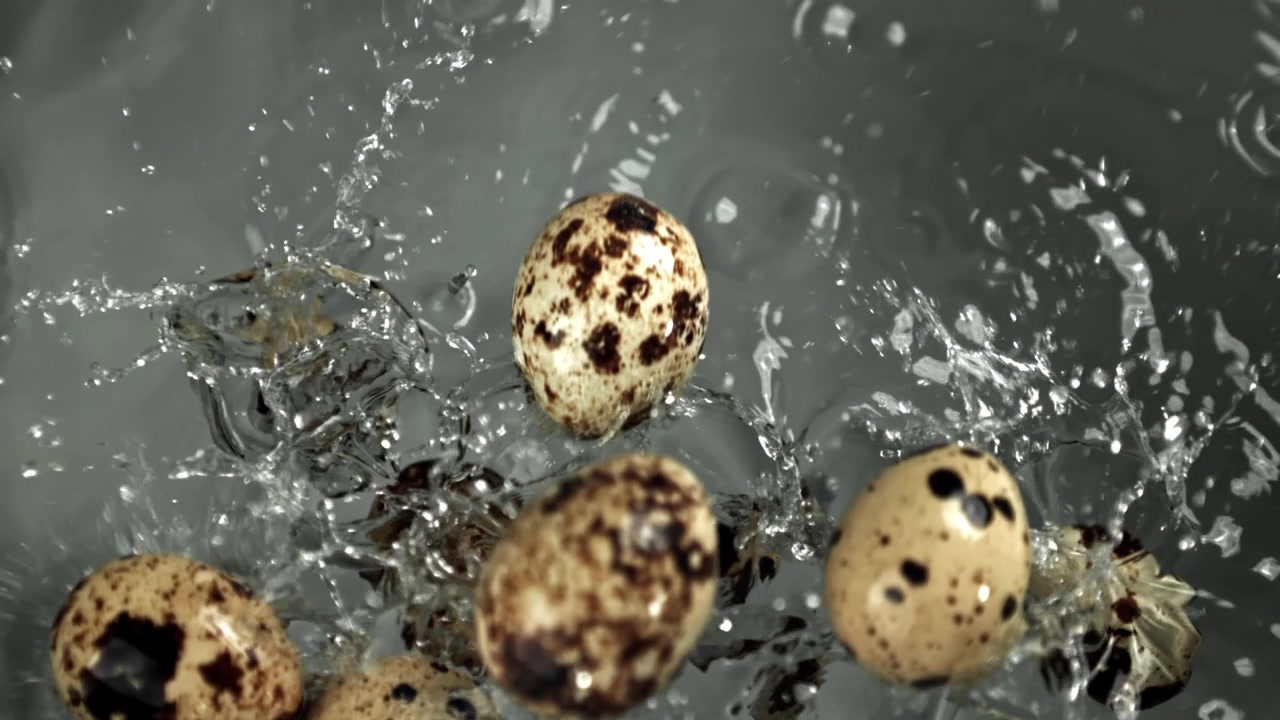 Quail Eggs Dropping and Splashing in Water in Slow Motion