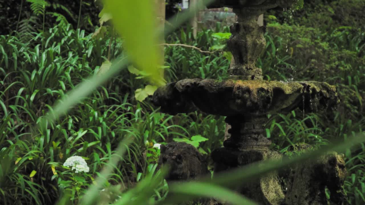 울창 한 정원 에 있는 은 돌 분수