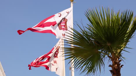 flags fluttering beside a palm tree