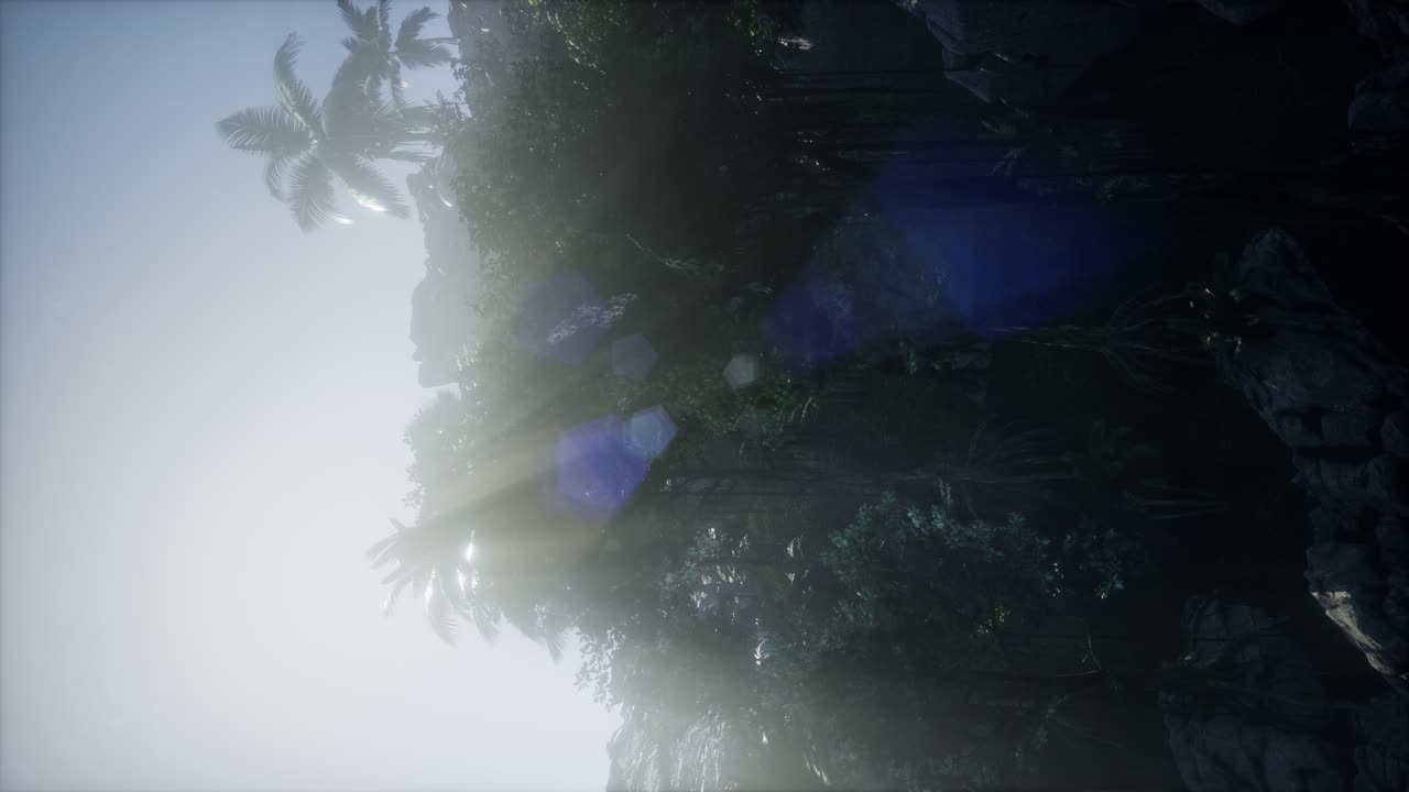 paisaje de montaña, campo con palmeras, selva, vista aérea