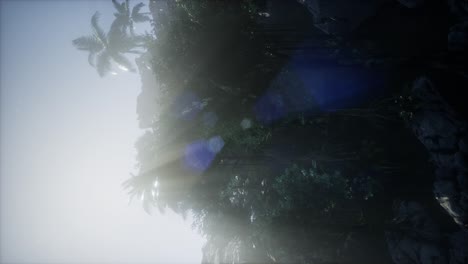 mountain, field landscape with palm trees. jungle. aerial view
