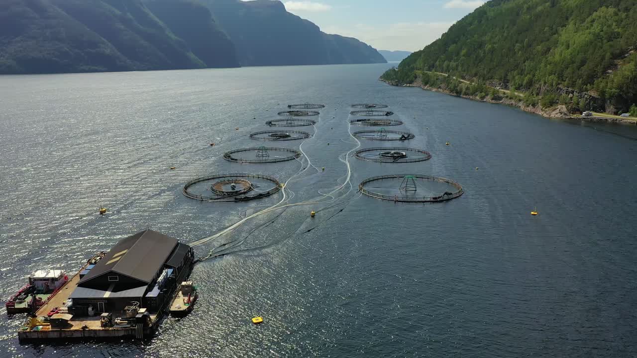 노르웨이에서 연어  ⁇ 시를 하는 공중 촬영