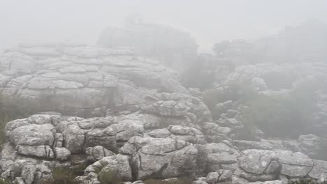 iberian ibex on el torcal de antequera mountain rocks on a foggy day