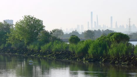 manhattan skyline at dusk light recorded from new jersey park, dove in water in the foreground.