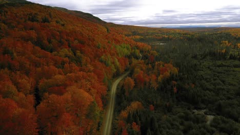 Imágenes-Aéreas-Bajando-Cerca-De-Un-Camino-De-Tierra-En-Un-Bosque-De-Otoño-En-El-Norte-De-Maine