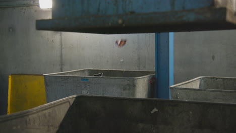 Plastic-bags-and-trays-drop-into-a-metal-container-at-a-recycling-factory