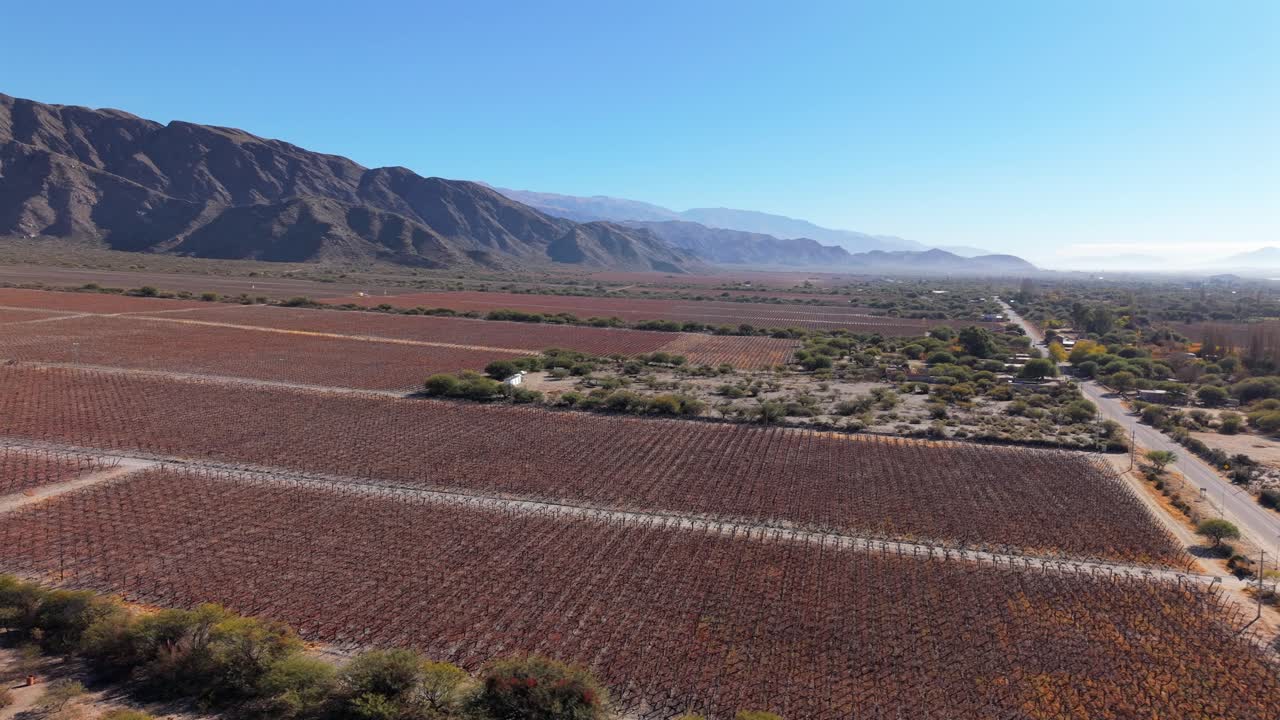 Drone panoramic shot of La Rioja vineyards surrounded by arid mountain ranges, Argentina