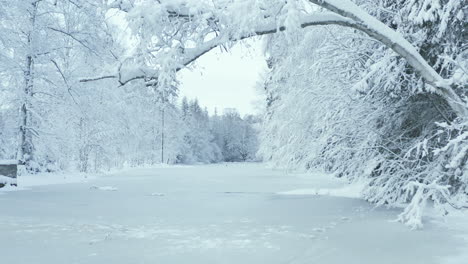 aerial - frozen lake in a snowy forest in sweden, wide shot forward