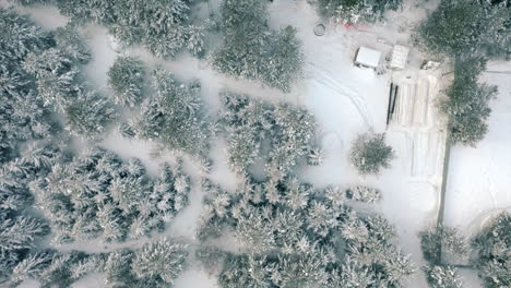 aerial view of snowy forest construction site