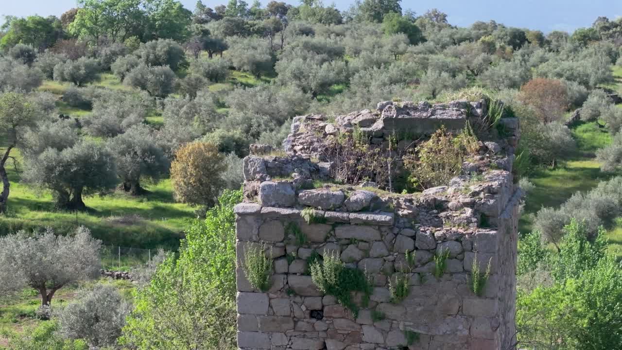 Volo orbitale con un drone sopra la torre in rovina della chiesa del Salvatore (XIII-XV secolo) con effetto parallasse dovuto alle riprese in 70mm; si osserva il deterioramento e intorno ci sono ulivi